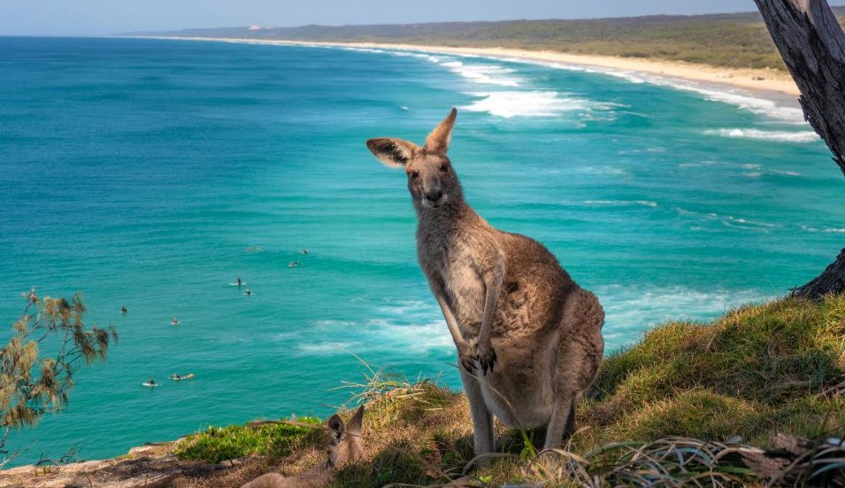 Kangaroo Island, South Australia, Australia